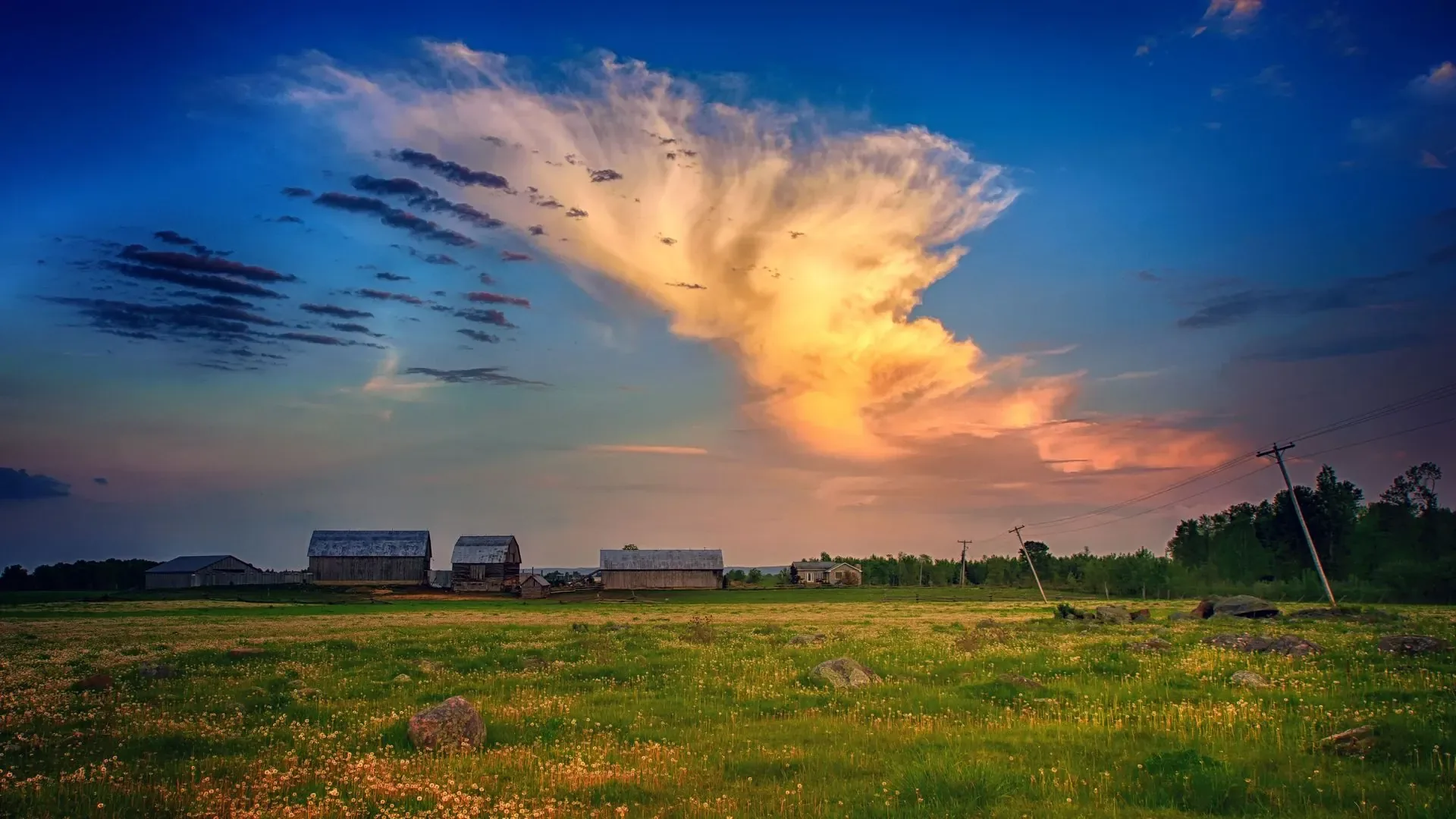 Rural Kansas countryside near Derby, KS
